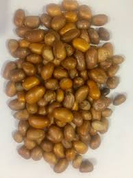 Image result for Monodora