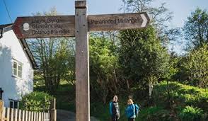 Image result for foto moud Forsterův