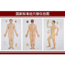 Us 11 3 3 Pieces Set Standard Meridian Acupoint Acupuncture Chart Standard Chart Physical Wall Map The Human Body Chart Meridian Points In Massage