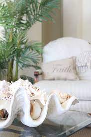 Check spelling or type a new query. Clam Shell Decorating Ideas Ksa G Com