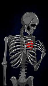 Broken heart pictures broken heart drawings broken heart art broken heart wallpaper broken heart tattoo shattered heart broken soul you broke my heart i love heart. Broken Heart Hd Wallpaper Skeleton Bone Human Anatomy X Ray Joint Rib Organ Human Body Illustration Neck 1451477 Wallpaperkiss