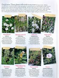Night Blooming Night Blooming Flowers Moon Garden Blooming Flowers