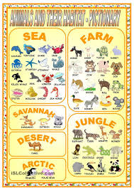 Animals And Their Habitat Pictionary Animal Habitats Animal Adaptations Animal Worksheets