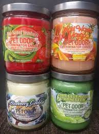 Get the latest in home décor. Furnas Pet Care Posts Facebook