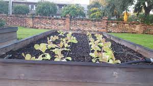 Maybe you would like to learn more about one of these? Planning Your Georgia Fall Vegetable Garden