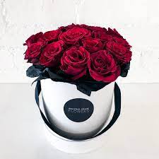 We did not find results for: Buy Valentines Day Red Roses Hat Box Florist Essendon Amazing Graze Flowers