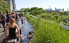 Check spelling or type a new query. High Line Park New York City Zinco Green Roof Systems
