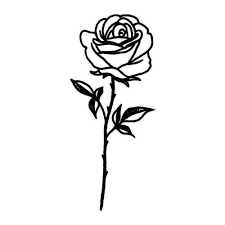 Rose Tattoos Side Rose Tattoos For Men Small Rose Tattoo Rose Tattoos On Wrist