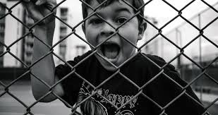 Cynthia Chaves Photography