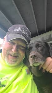 Labrador having seizures with no after effects?