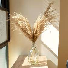 ✓ free for commercial use ✓ high quality images. Dried Pampas Grass Decor Fluffy Tall 20 22 Wedding Flowers Arrangement Natural Bouquet For Home Christmas Decorations Vase Artificial Dried Flowers Aliexpress