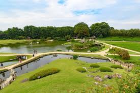 This forest grass thrives in partial or full shade. The Summer Beauty Of Korakuen Okayama S Premier Japanese Garden
