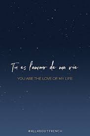 Learn To Speak French With Us Free Beautiful French Quotes And Words In 2020 French Love Quotes French Quotes French Words