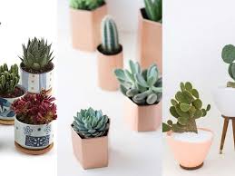 So, choose our services, and we promise to be your lifetime planting zone. 5 Indoor Plants And Flowers You Should Get Home This Summer Architectural Digest India
