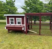 Wooden 8 Ft. Chicken Run (8’W X 8’L X 6’3”H)