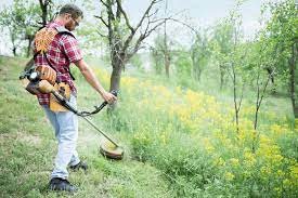 Jan 09, 2020 · remove the top layer of grass. Help I Ve Let My Lawn Get Too Tall What Do I Do