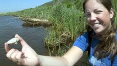 Pilgrim Lake's new bounty