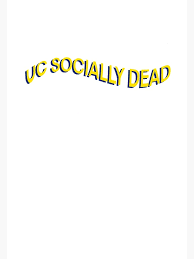 I Found My Niche At The University Of California – San Diego – Niche Blog