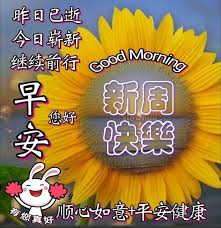 pin by nysg on 台湾 night wishes happy morning morning quotes