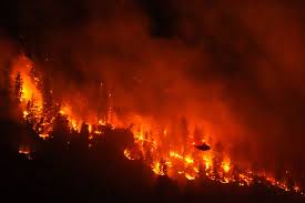 Climate change created conditions for Canada fires, scientists say, as Trump blames mismanagement