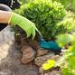 Workshop: Fire-Wise Gardening (La Crescenta)