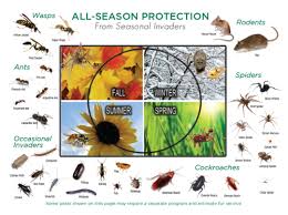 Because your comfort and safety is our top priority, we only use the. Spire Pest Control Spire Pest Control Richmond Va