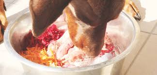 Albion meat products raw dog food calculator, allowing dog and puppy owners to calculate the amount of raw dog food you should feed to your dog. Raw Feeding What S The Problem