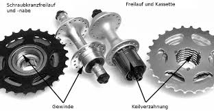 Shimano Kassetten Und Freilaufnaben Wikipedalia