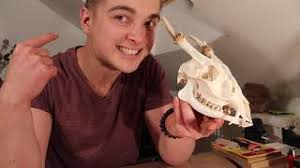 The Muntjac. A deer with fangs and antlers!