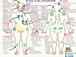 Head To Toe Assessment Cheat Sheet With Images Nursing School Notes Nursing School Survival Nursing School Studying