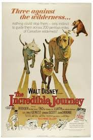 Homeward bound pets humane society is oregon's first. The Incredible Journey Film Wikipedia
