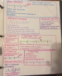 Pin By Cindy Davis On Nursing Paramedic School Nursing School Notes Nursing School Survival