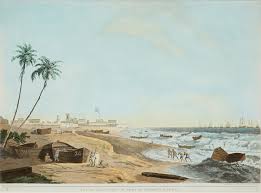 William Daniell – Great Banyan Art