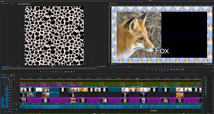 Solved: Premiere Pro 24.4.1 update will not allow me to co...