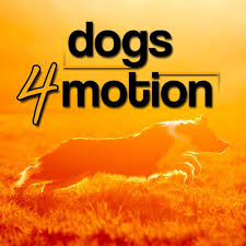 1920x1080 dog wallpaper, dogs, wallpapers, manga, sleeve, wall papers, pet dogs, manga anime, doggies. Dogs4motion Academy For Active Dogs Home Facebook