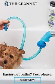 Slip On Shower Attachment Hose Pets Puppies Dog Life