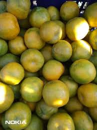 Artikel ini akan melihat warna oren. Buah Jeruk Keprok Manis Enak Segar Besar Jumbo Fresh Orange Juice Jus Oren Jeruk Peras Shopee Indonesia