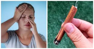 ← 7 cara budidaya burung murai ekor panjang bagi pemula → 6 cara merawat tanaman anggrek dengan baik. Sedut Asap Kayu Manis Bakar Boleh Rawat Masalah Resdung Yang Kronik Mujarab