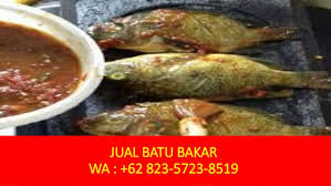Pilihan pas untuk akhir pekan. Kualitas Terbaik Wa 62 823 5723 8519 Jual Batu Bakar Tapong