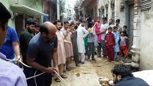 Two Big Cow Qurbani Must Watch Video Dailymotion