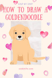 Search through 52006 colorings, dot to dots, tutorials and silhouettes. How To Draw A Goldendoodle Step By Step