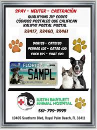 Want to adopt a shichon dog or puppy? Welcome