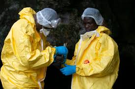 Marburg virus is a hemorrhagic fever virus of the filoviridae family of viruses and a member of the species marburg marburgvirus, genus marburgvirus.marburg virus (marv) causes marburg virus disease in humans and other primates, a form of viral hemorrhagic fever. 8kwppmgooc 2nm