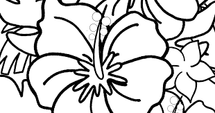 Nov 18, 2020 · fancy tulle. Free Hibiscus Coloring Page For Kids And Adults Mama Likes This