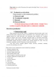 Alte motive pentru care nu avem. AcrobaÅ£ie Fluid Nivel Model Plan De Afaceri Pentru Organizat Evenimente Justan Net