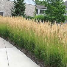 Ces Jardins Nenni Sont Enjambee Seulement Nonobstant Ces Pelouses Puis Ces Esplanade En 2020 Amenagement Paysager Amenagement Paysager Contemporain Amenagement Jardin