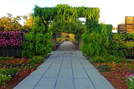 City Park In New Orleans Sculptures Nature Lights Deviating The Norm The sculpture garden is now open from 11:00 a.m.