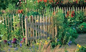 Naturlicher Charme Ein Holzzaun Fur Den Garten Garten Bepflanzen Garten Pflanzen Englischer Garten