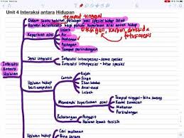 Interaksi Antara Haiwan Sains Tahun 6