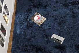 We did not find results for: Luxury Soft And Silky Dubai Shaggy Navy Area Rug Carpet